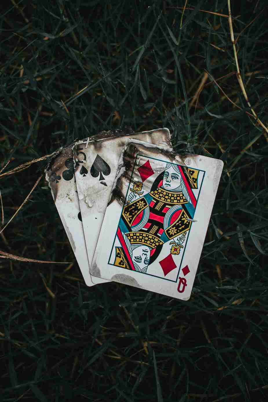 Banzai Casino Mobile : L'Expérience de Jeu Ultime à Portée de Main